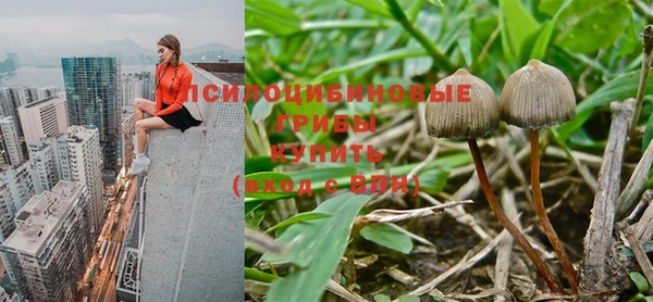 экстази Новокубанск