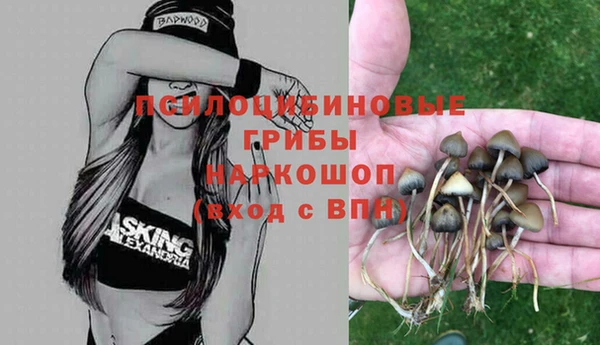 мет Армянск